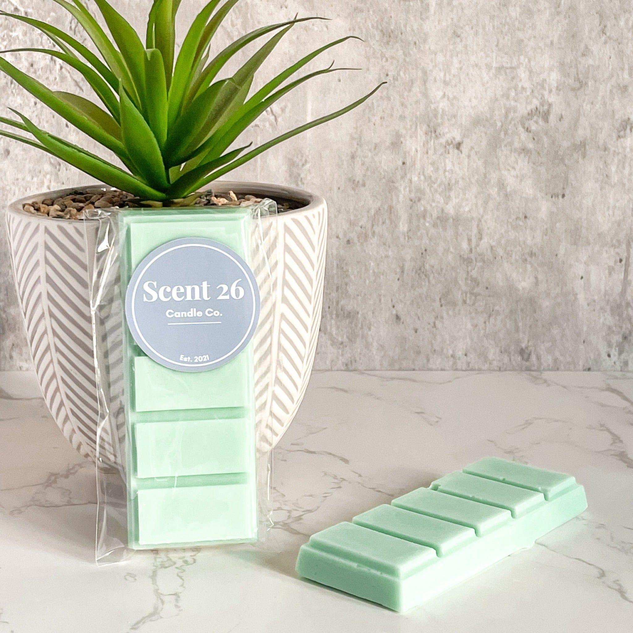 Margarita Wax Melts Scent 26 Candle Co.