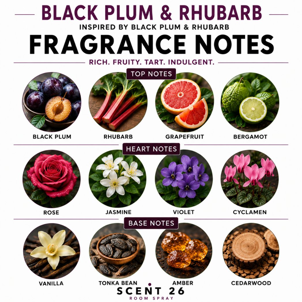Fragrance notes infographic for Black Plum & Rhubarb room spray showing black plum, rhubarb, rose, vanilla and amber fragrance notes.