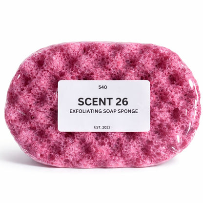 540 Inspired by Baccarat Rouge Exfoliating Soap Sponge