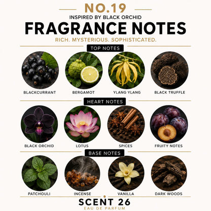 A fragrance notes infographic titled 'NO.19 FRAGRANCE NOTES' with the tagline 'INSPIRED BY BLACK ORCHID' and 'SCENT 26 EAU DE PARFUM'.
